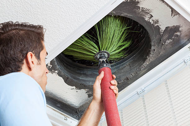 Best Local Air Duct Cleaning Services  in Sto Brook, NY